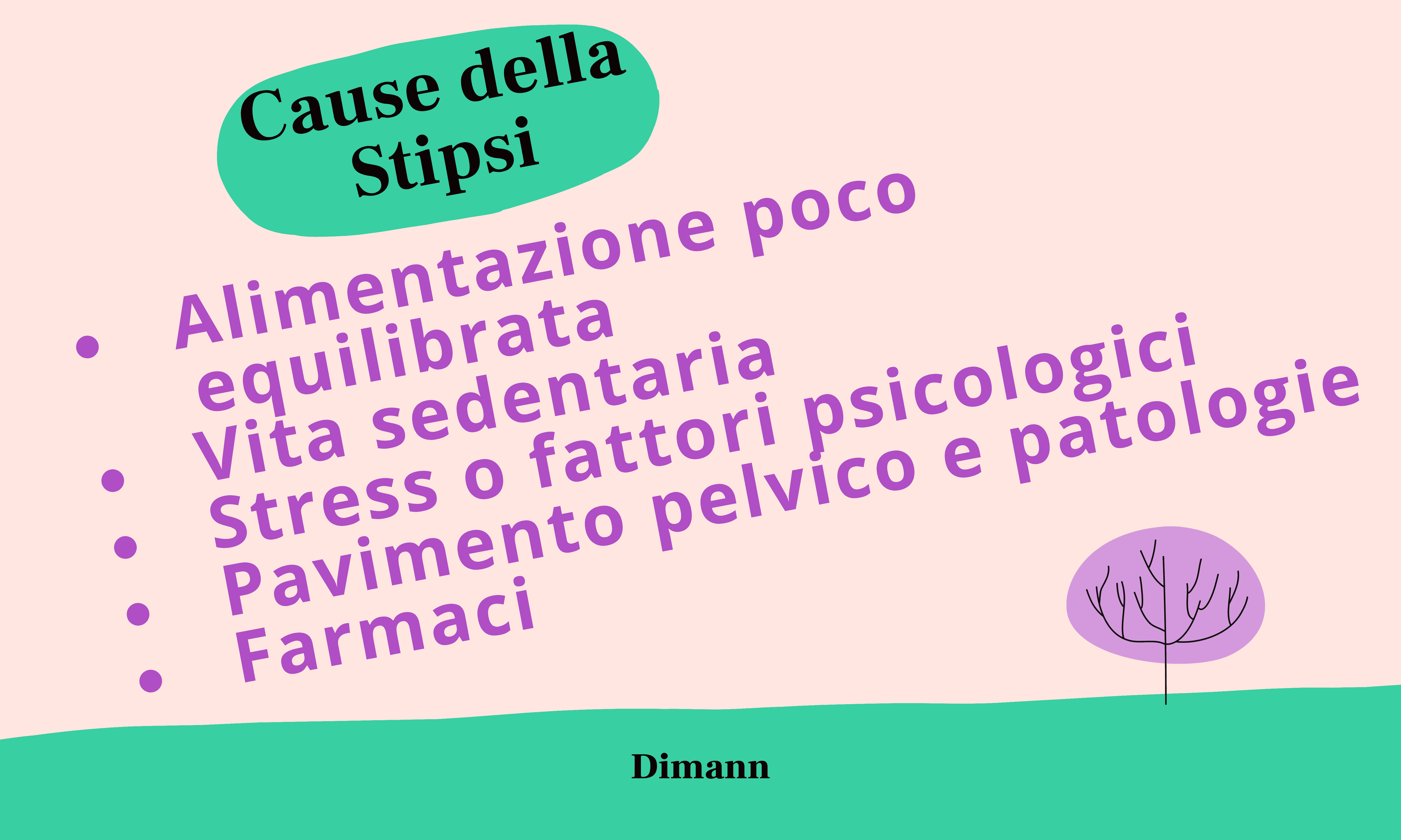 La Stipsi | Dimann La Stipsi | Dimann