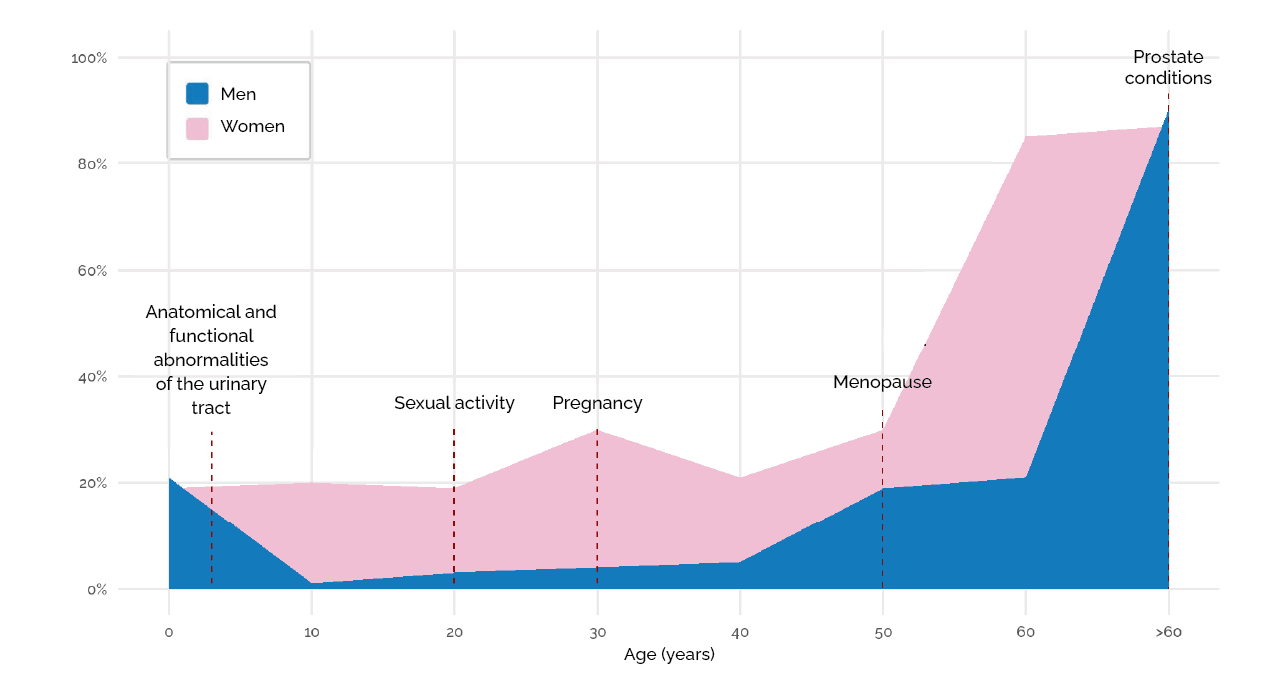 Figure 2 &middot; Incidence of cystitis by age and sex