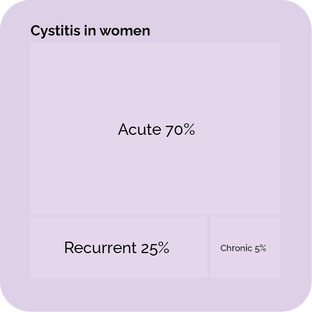 Figure 1 &middot; Estimated distribution of cystitis forms in women